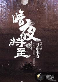 暗夜将至怎么样