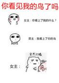 你看见我的鸟了吗全文免费阅读