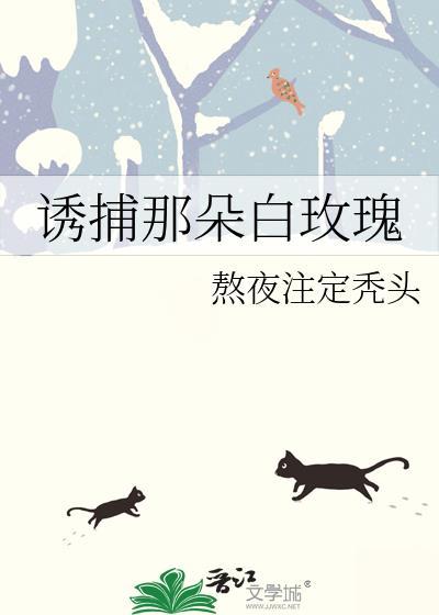 诱捕那朵白玫瑰方明浩