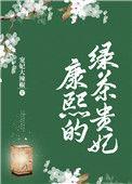 康熙的绿茶贵妃格格党