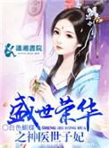 盛世繁华之神医世子妃