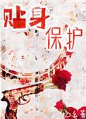 贴身保护剧情