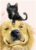 穿成猫后靠玄学爆红焦糖色
