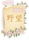 野望简介