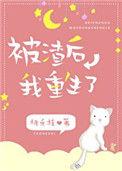 被渣后我重生了无广告