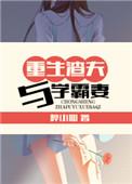 重生渣夫与学霸妻未删节版