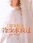 冷少绝宠小甜妻全文免费阅读