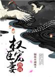 权臣宠妻手册完整无防盗