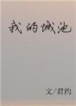 我的城池营垒第二部免费观看