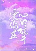 爱你在心口难开 英文