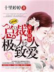豪门掠情总裁大人极致爱 十里婷婷