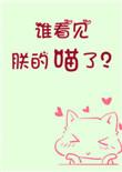 谁看见朕的喵了TXT