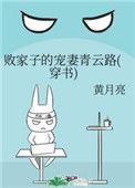 败家子宠妻青云路