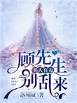 美人有毒童镜 txt