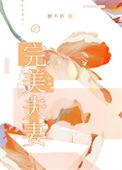 完美夫妻短剧免费观看