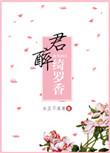 倾城小佳人全文免费阅读