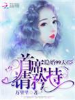 隐婚99天总裁好眼光简介
