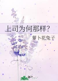 上司为何那样全文TXT