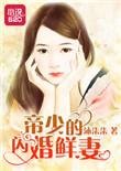 帝少的闪婚秘妻