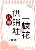 八零供销社一枝花全文免费