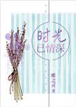 时光已情深在线阅读