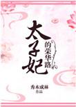 太子妃荣华路番外