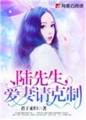陆先生爱妻请克制盛安安陆行厉