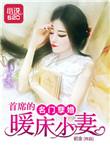 名门宠婚首席夺妻成瘾