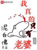 我真的只有一个老婆女主有几个