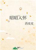 昭昭入星河