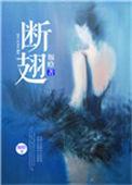 断翅之约短剧免费观看全集高清