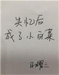 失忆后成了小白菜txt