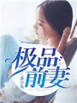 极品前妻剧情介绍