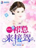 暖婚全文免费