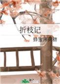 折枝记by蜂蜜薄荷糖讲的是什么