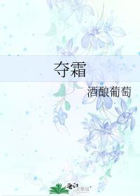 夺霜 酒酿葡萄百度