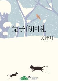 兔子的回礼TXT全文
