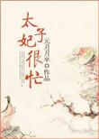 太子妃很忙txt百度