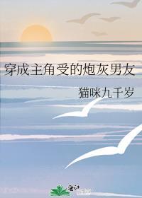 穿成主角受的炮灰男友作者猫咪九千岁免