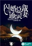 闪婚总裁疼妻入骨