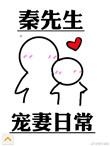 秦先生宠妻日常TXT