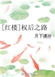 红楼权臣之妻无防盗章节