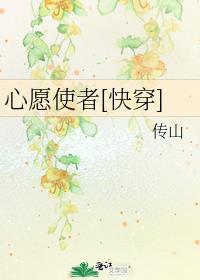 心愿v101全部攻略