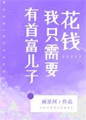 有首富儿子我只需要花钱无防盗