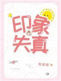 印象失真免费