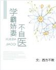 学霸娇妻不自医乐文