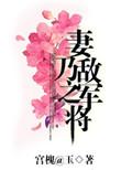 妻乃敌军之将宫槐知玉