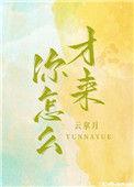 你怎么才来全文TXT