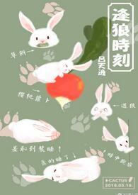 逢狼时刻讲的什么内容