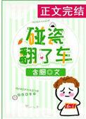 碰瓷翻了车TXT